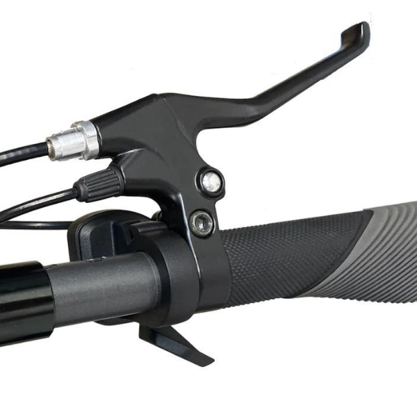WideWheel 2020 PRO Throttle Upgrade