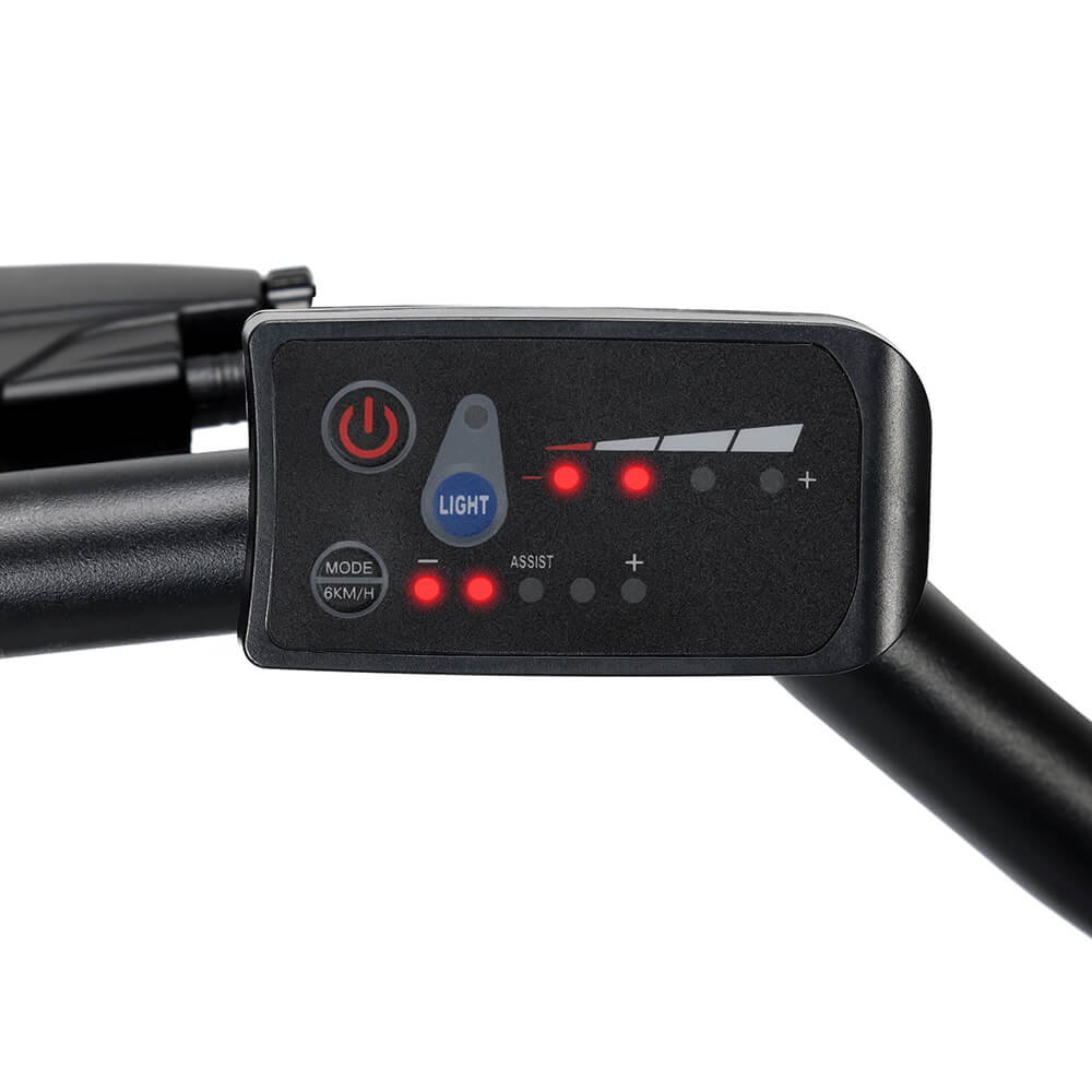 TOUROLL B1 Electric City Bike