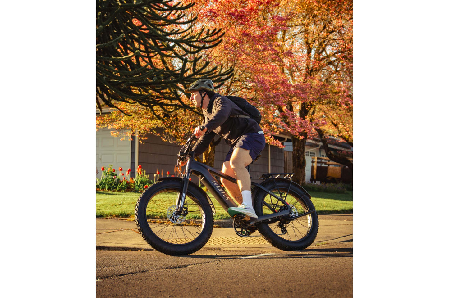 Aventon Aventure 3 Off-Road Step Over Electric Bike