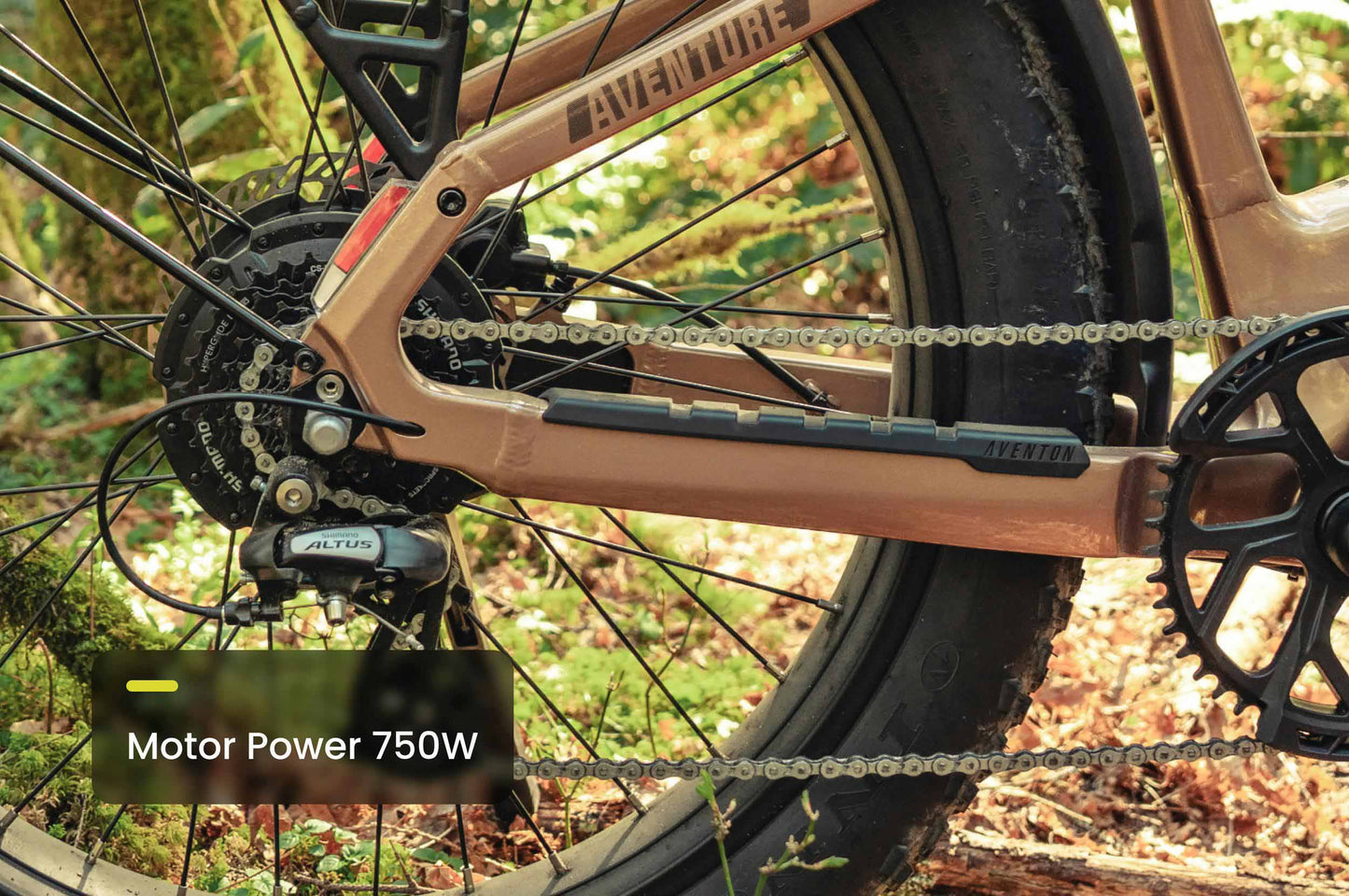Aventon Aventure 3 Off-Road Step Through Electric Bike