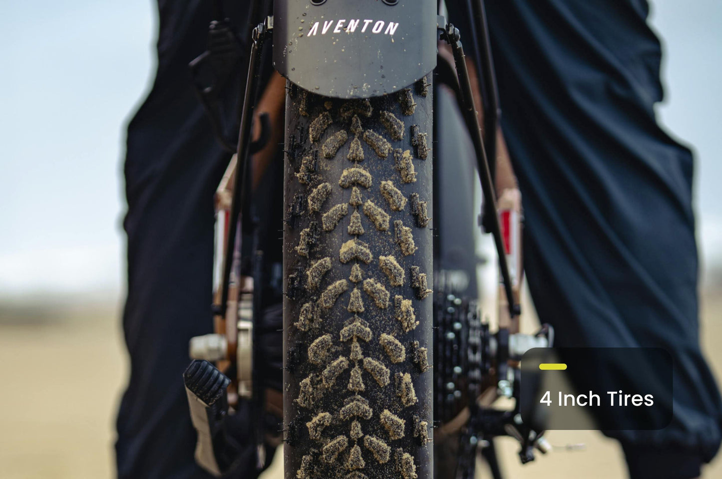 Aventon Aventure 3 Off-Road Step Through Electric Bike