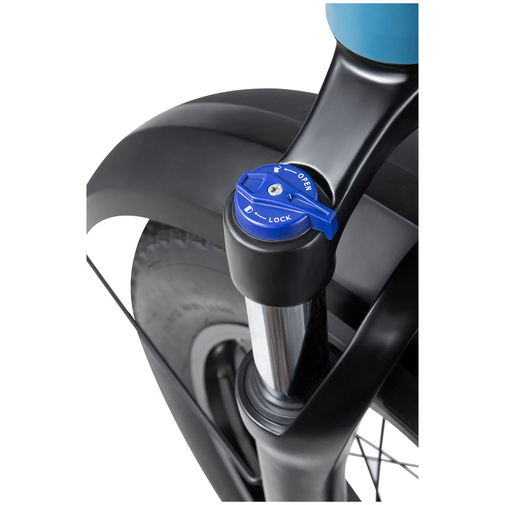 DYU FF500 Foldable Fat Tyre Electric Bike
