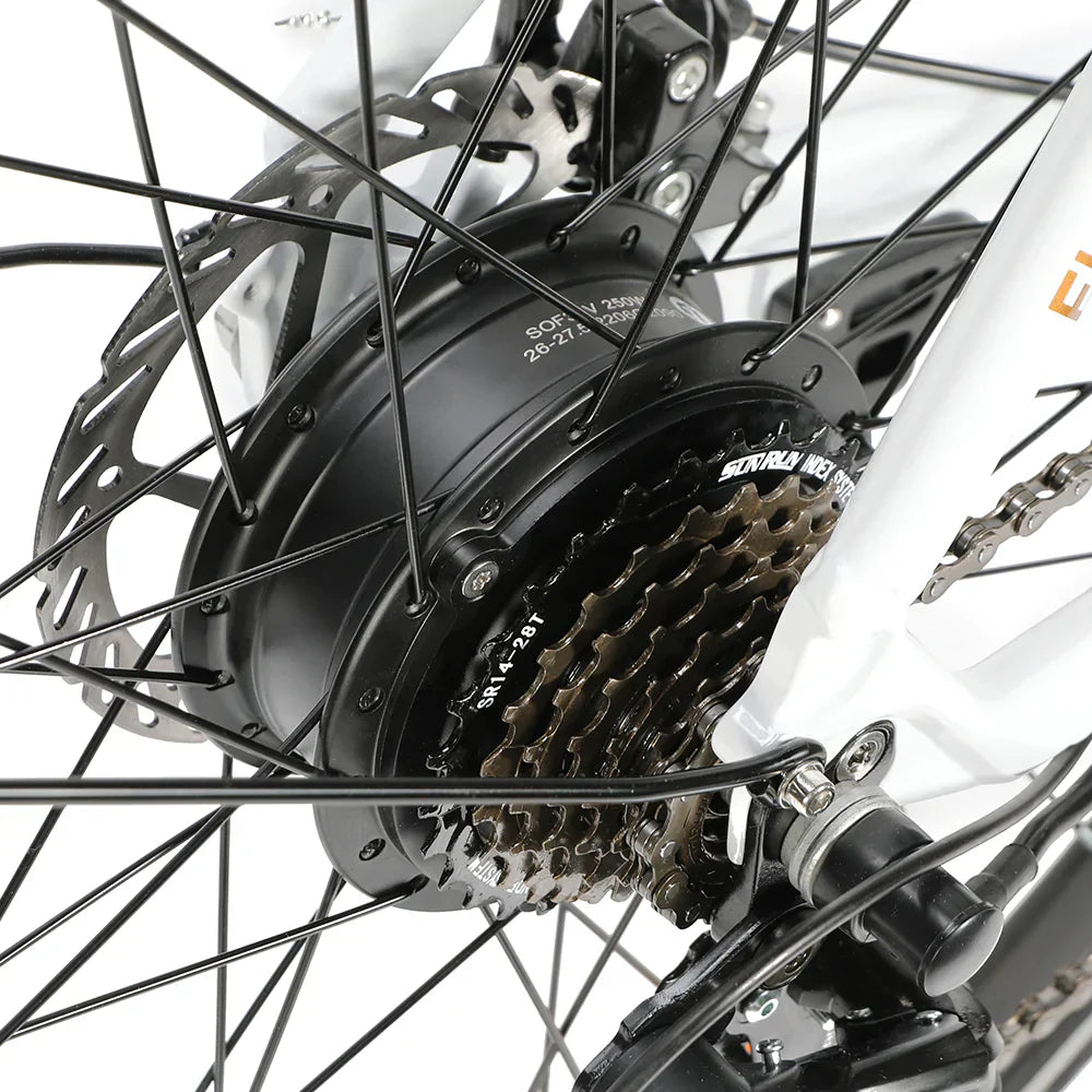 ELEGLIDE CITYCROSSER Electric Bike