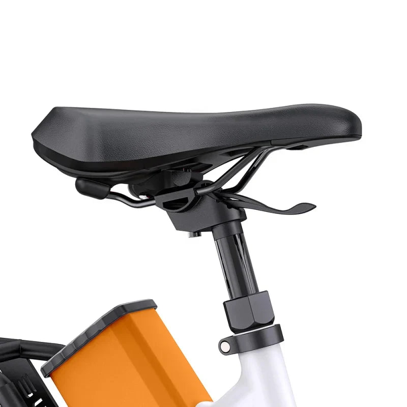 ENGWE P275 ST 250W 260 km Ananda Torque Sensor Mid-drive Motor Commuting E-bike