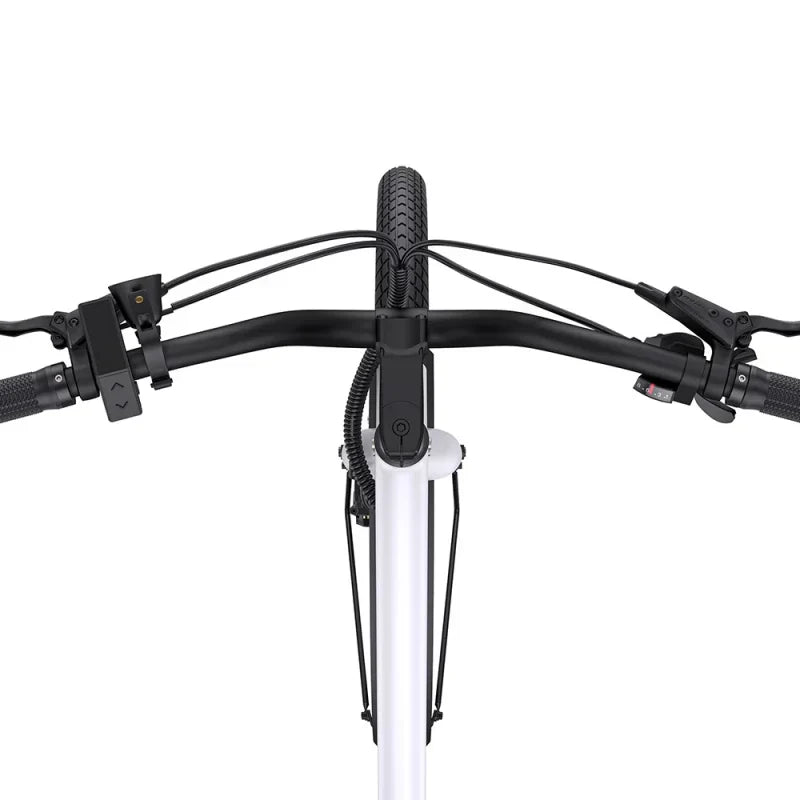 ENGWE P275 ST 250W 260 km Ananda Torque Sensor Mid-drive Motor Commuting E-bike