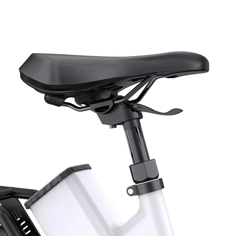 ENGWE P275 ST 250W 260 km Ananda Torque Sensor Mid-drive Motor Commuting E-bike