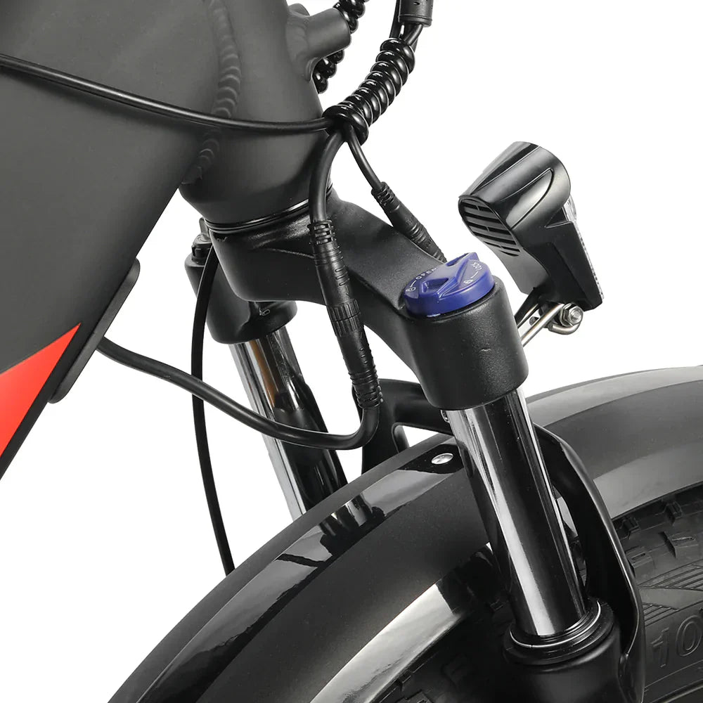 ELEGLIDE TANKROLL Fat Tyre Electric Bike