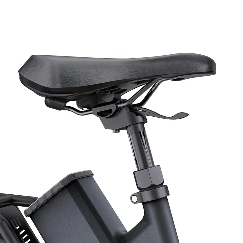 ENGWE P275 ST 250W 260 km Ananda Torque Sensor Mid-drive Motor Commuting E-bike