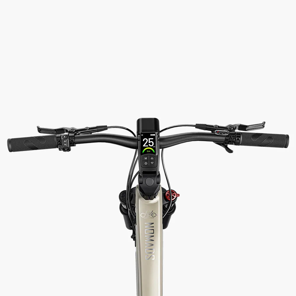 Fiido Nomads Touring E-Bike – 250W Torque Sensor Trekking Bike
