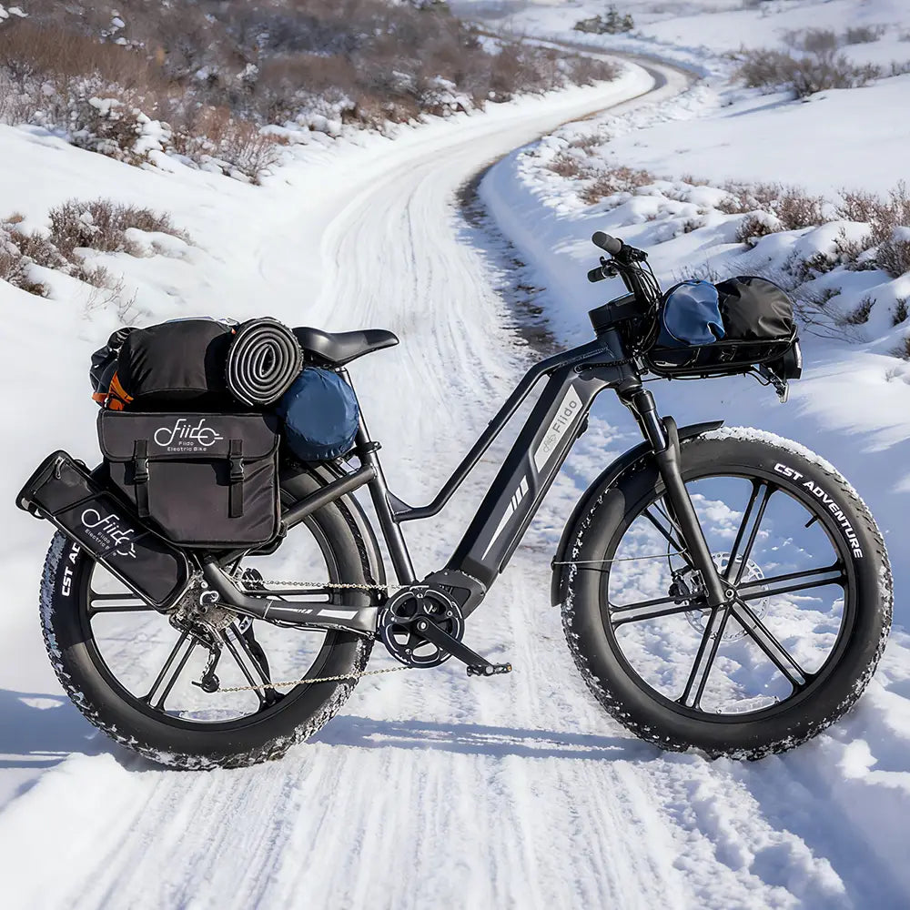 Fiido Titan Fat Tyre Touring E-Bike – 250W, Up to 347km Range