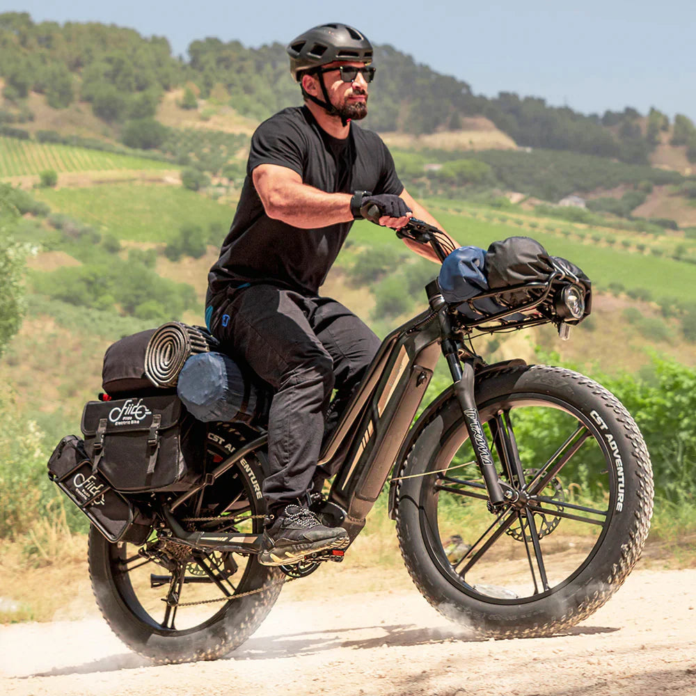 Fiido Titan Fat Tyre Touring E-Bike – 250W, Up to 347km Range