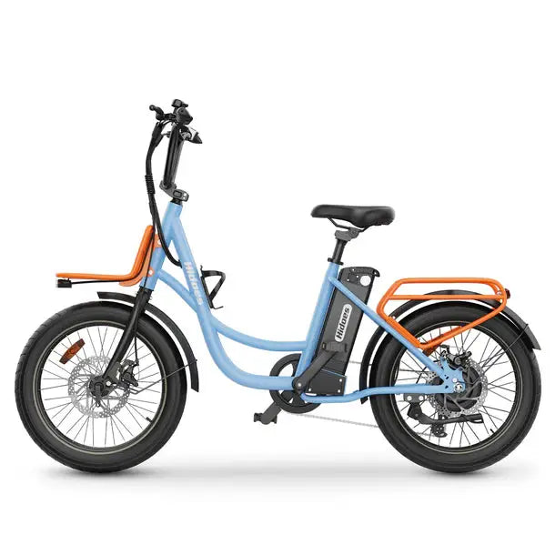Hidoes® C6 Electric Bike