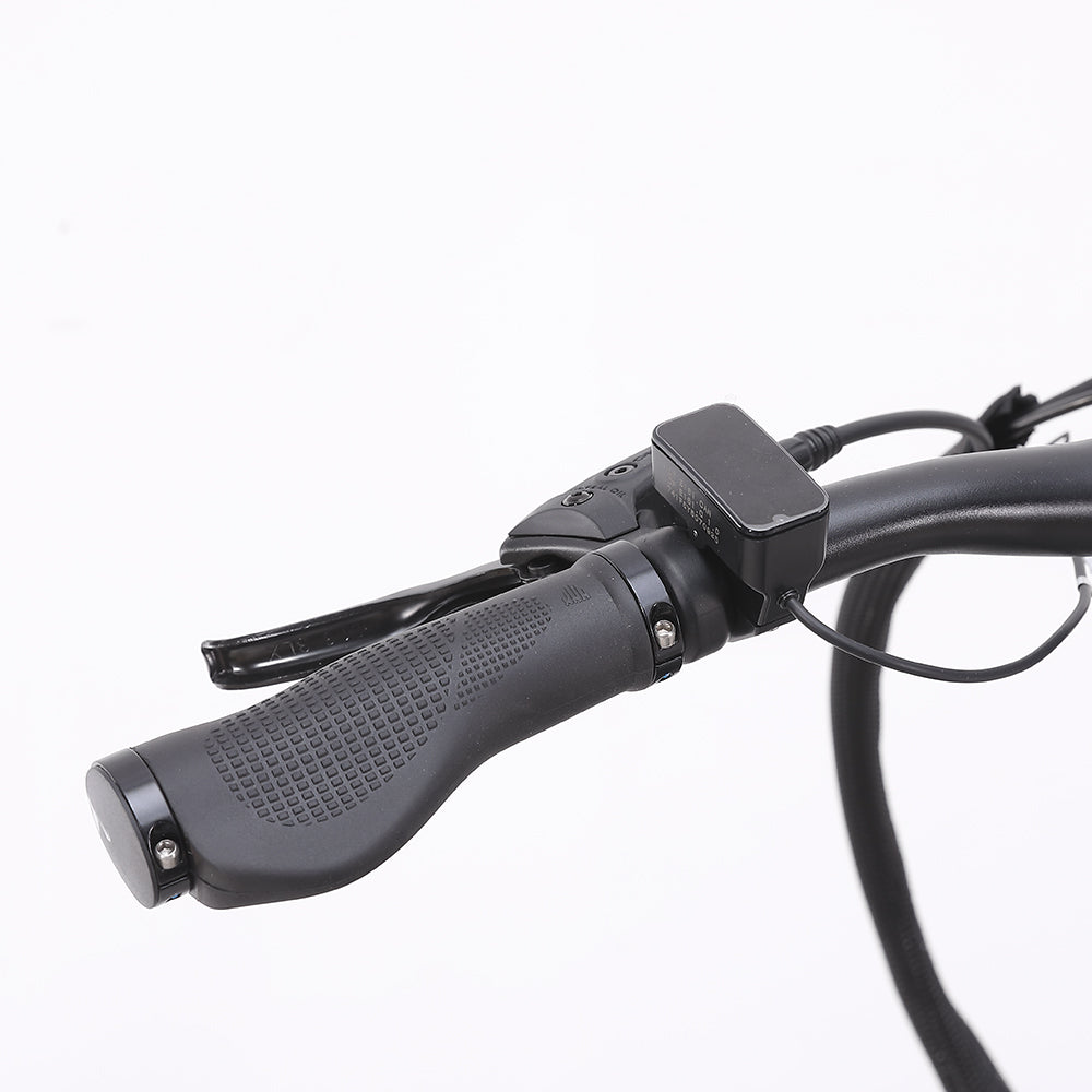 MATE X Evo Folding Electric Bike