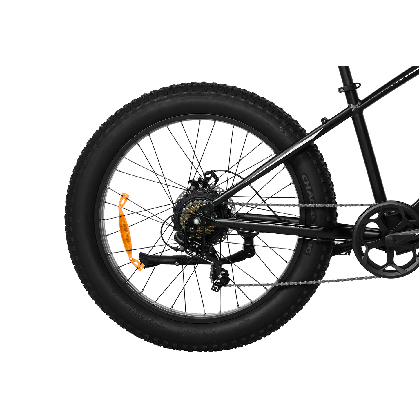 PIXAR® Space1 Fat Tyre Mountain E-Bike
