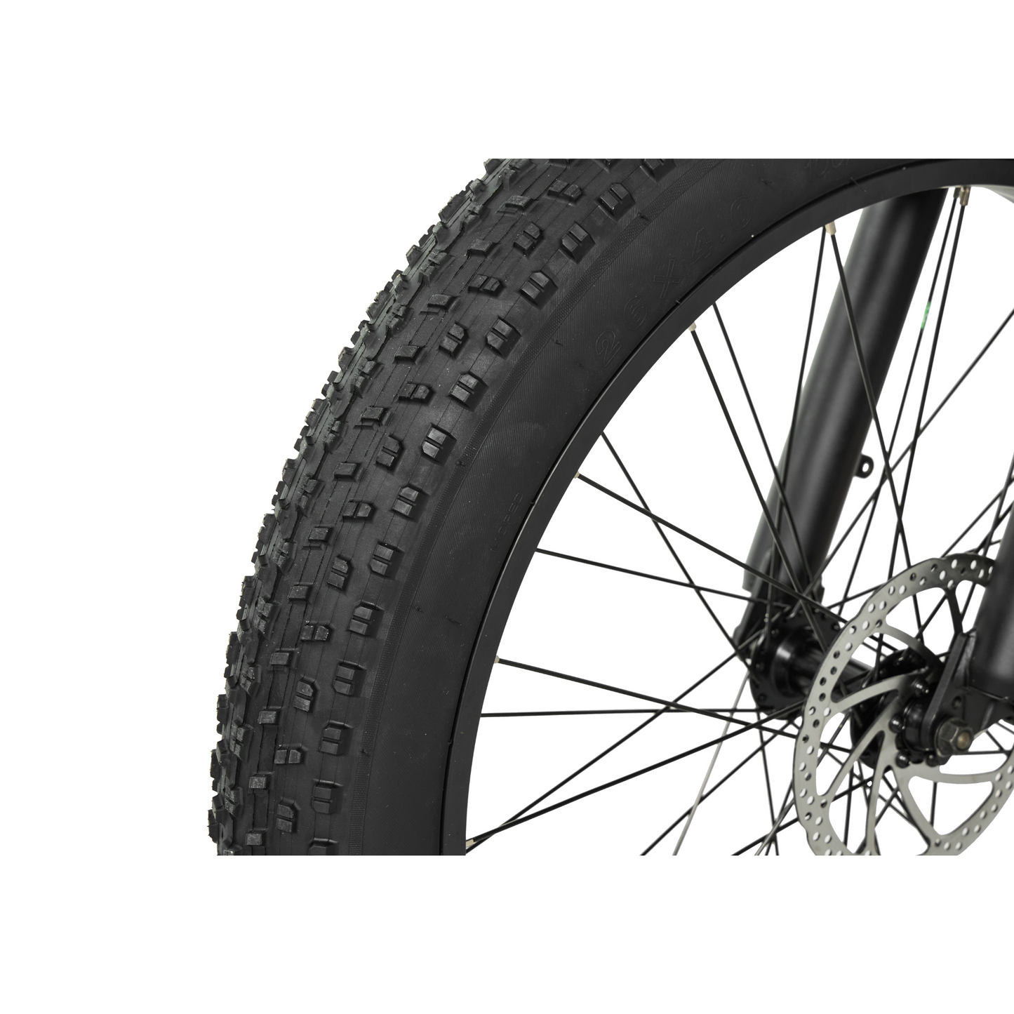 PIXAR® Space1 Fat Tyre Mountain E-Bike