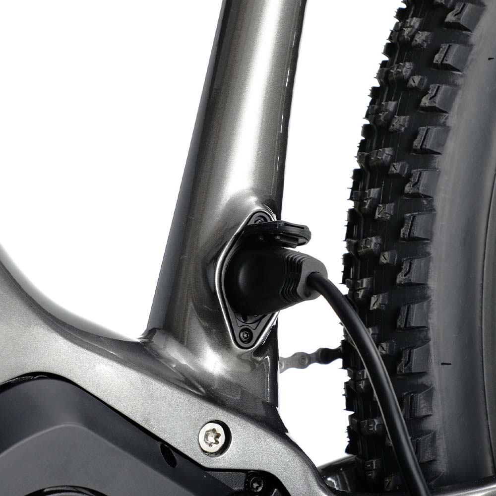 Aventon Ramblas Off-Road Electric Mountain Bike