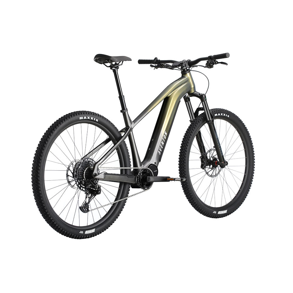 Aventon Ramblas Off-Road Electric Mountain Bike