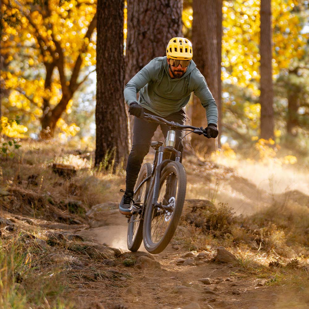 Aventon Ramblas Off-Road Electric Mountain Bike