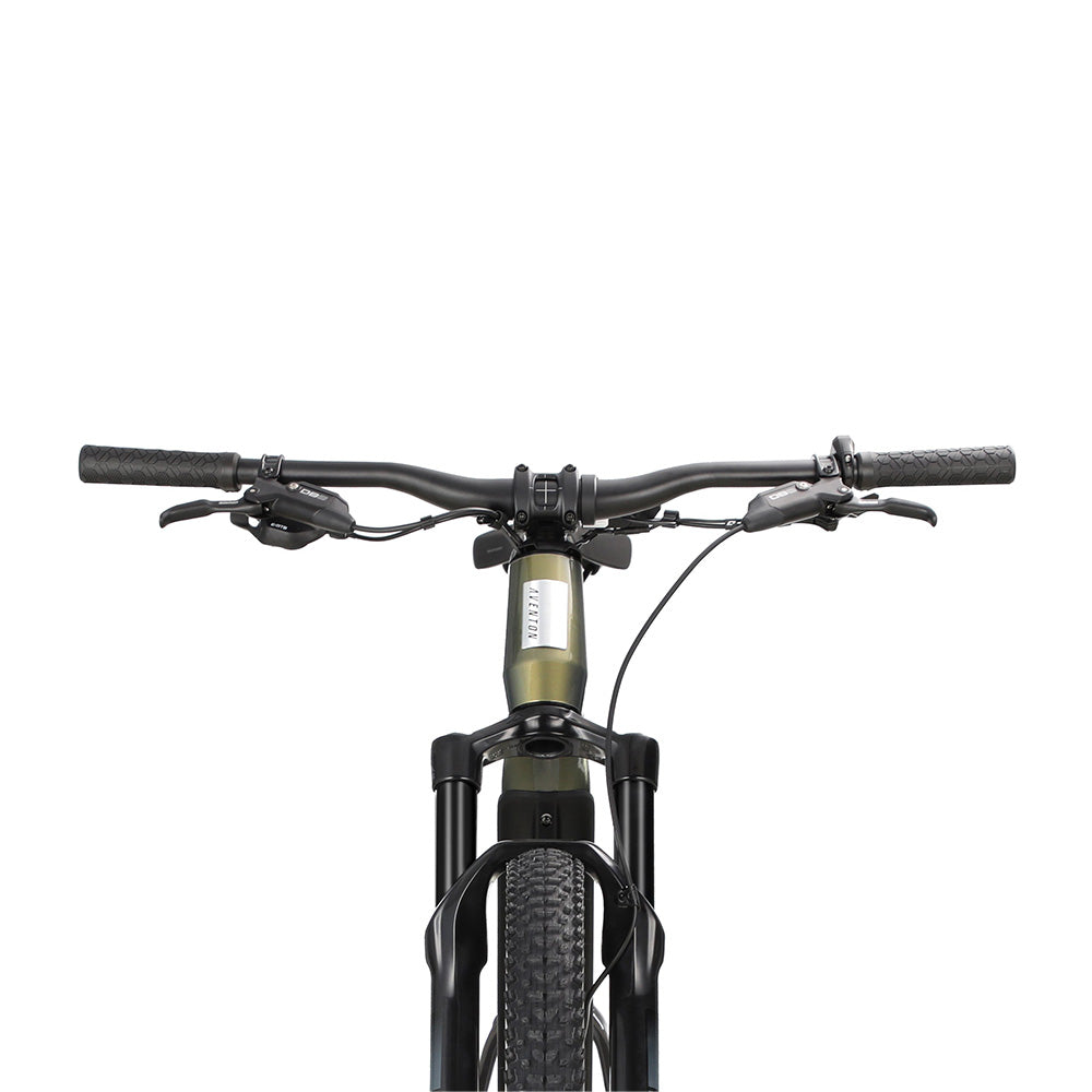 Aventon Ramblas Off-Road Electric Mountain Bike