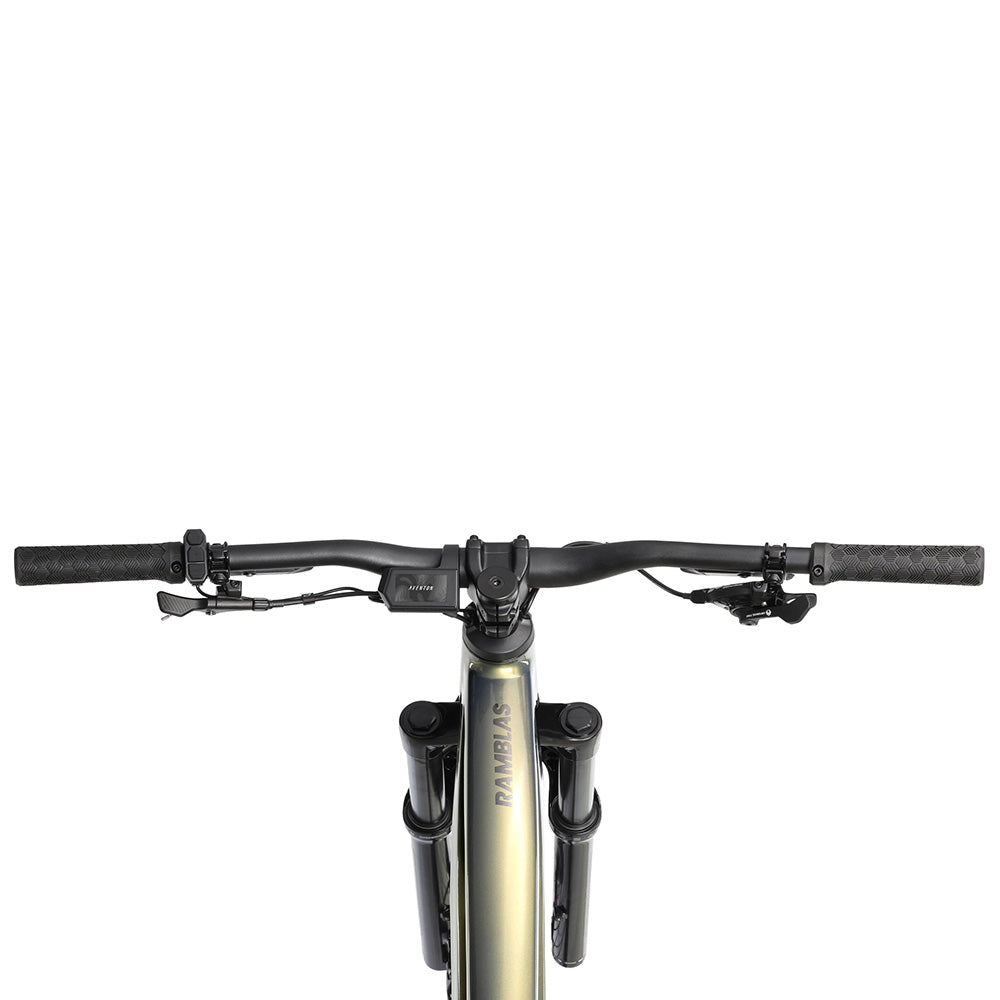 Aventon Ramblas Off-Road Electric Mountain Bike