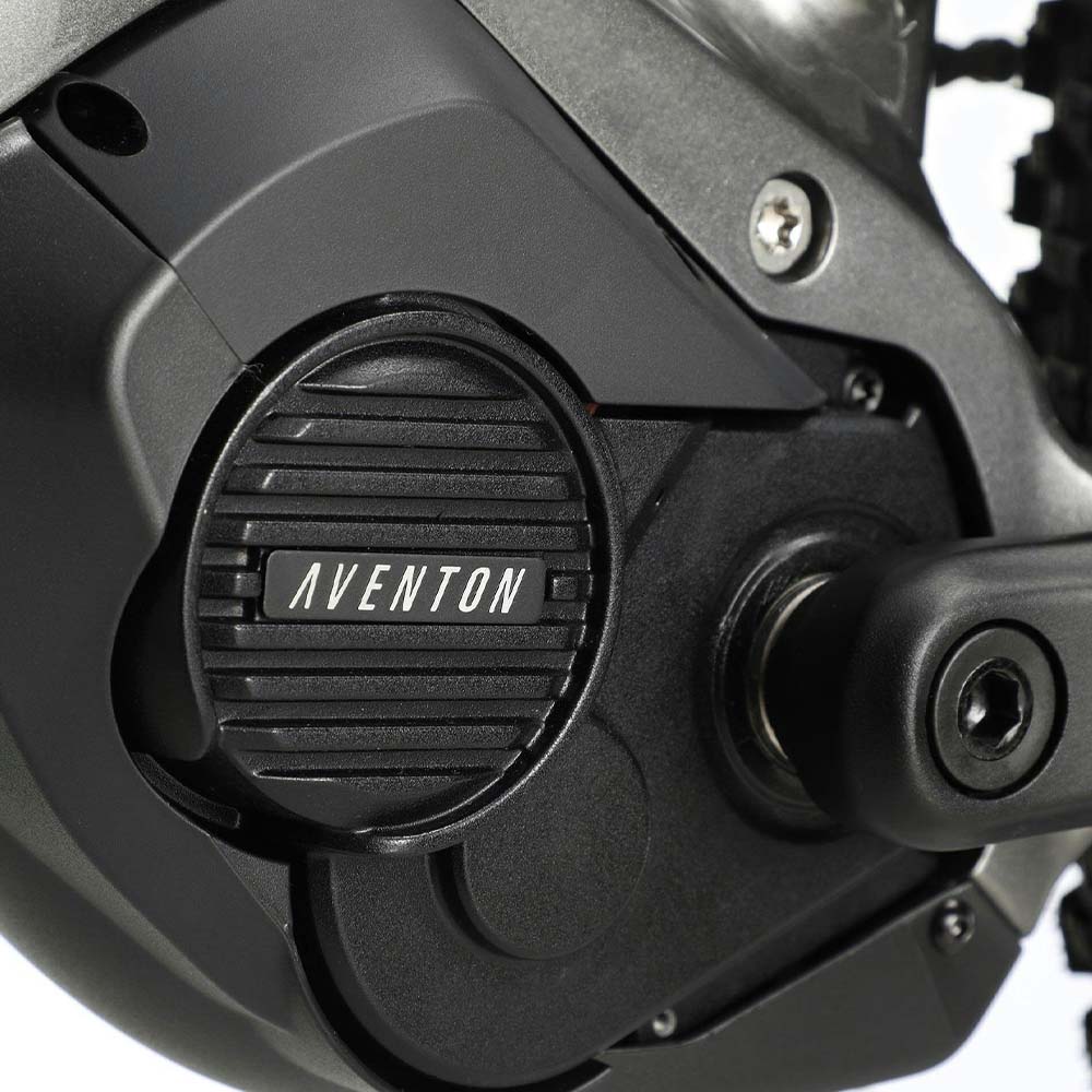 Aventon Ramblas Off-Road Electric Mountain Bike