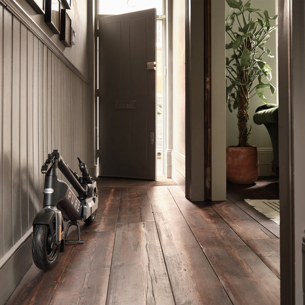 Pure Advance+ Electric Scooter (2025)